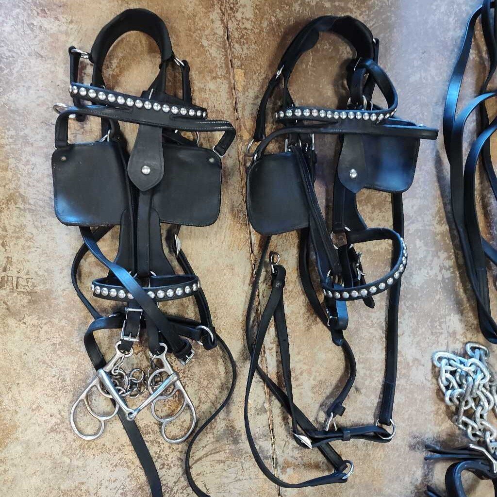 Bowman and Sons Draft Harness Set, Black