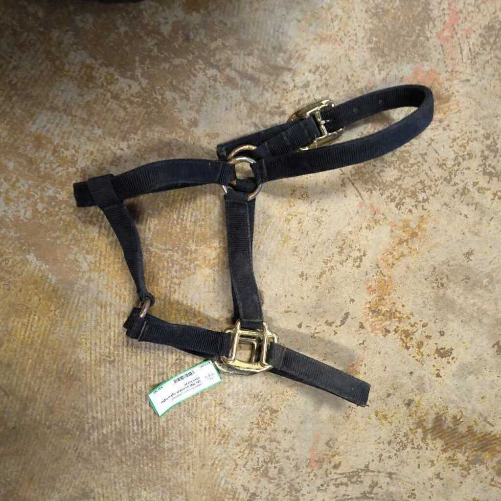 Nylon Halter, Black, Size Horse