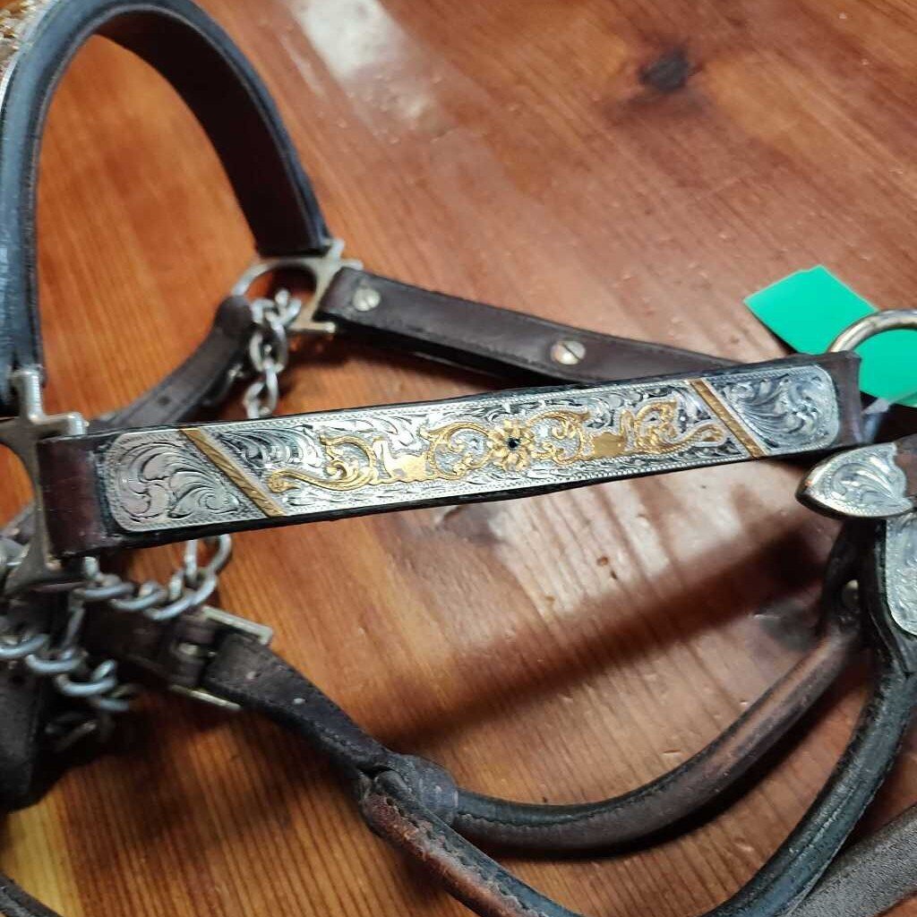 Broken Horn Show Halter with Blue Sapphires, Brown, Size Horse