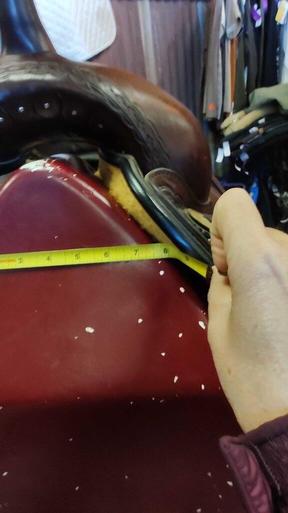 Circle Y Park and Trail Saddle, Brown, 15.5" seat