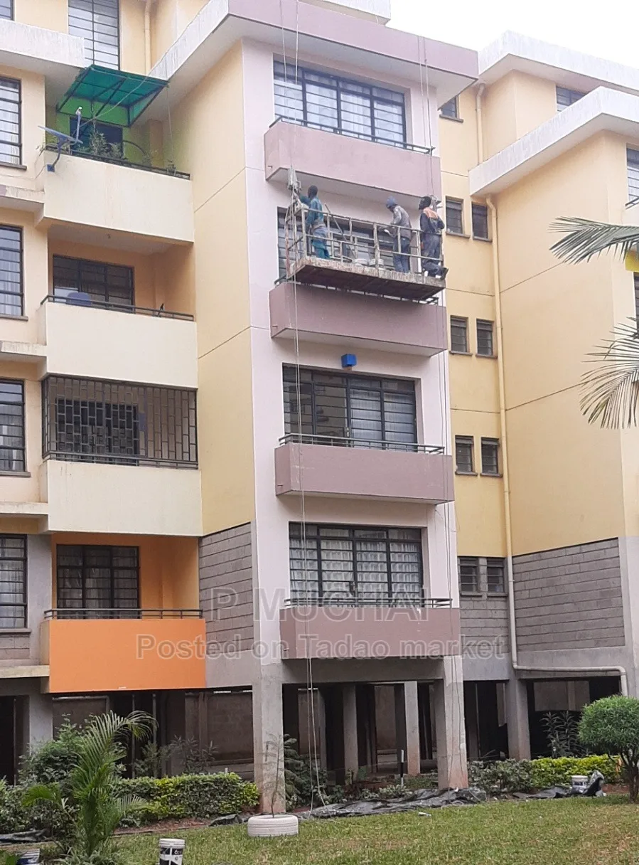 Painting, Window Cleaning and Repairs at Height 4