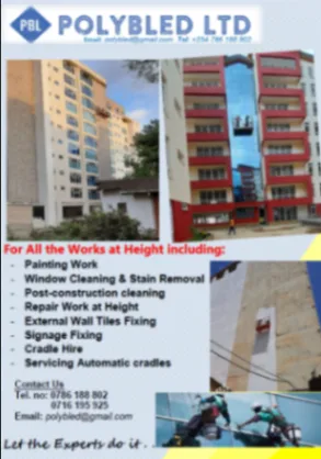 Painting, Window Cleaning and Repairs at Height 5