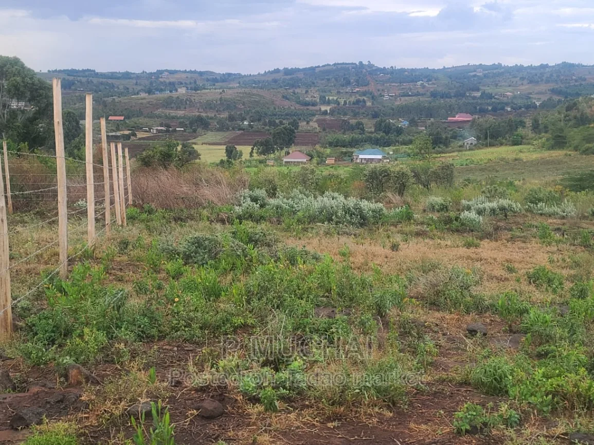 Prime Plots at Kamangu 1