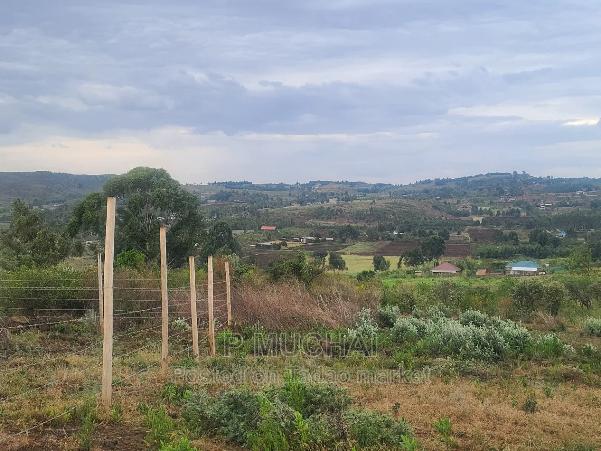 Prime Plots at Kamangu 2