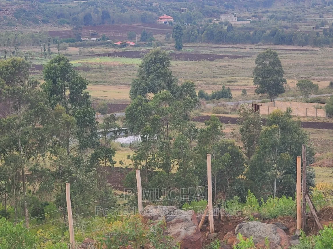 Prime Plots at Kamangu 3