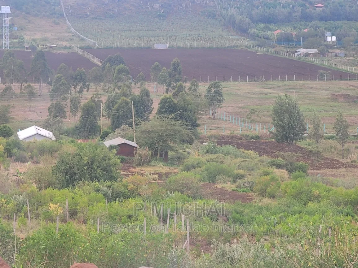 Prime Plots at Kamangu 4