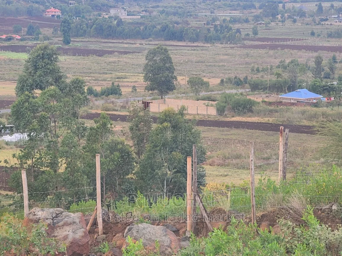 Prime Plots at Kamangu 5