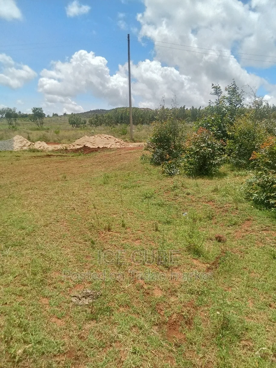 50 by 100 ndiguini Kikuyu 2