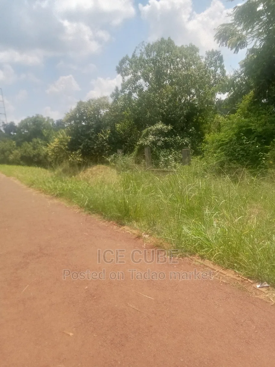 16 acres land for sale 2
