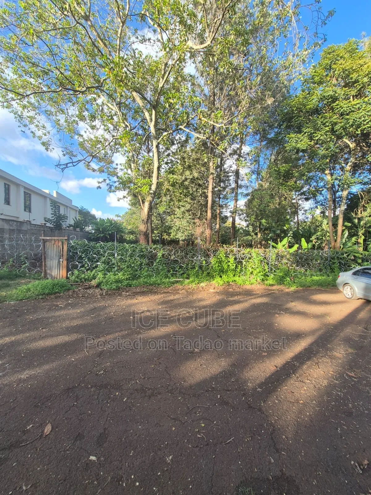 Half acre new kitisuru 2