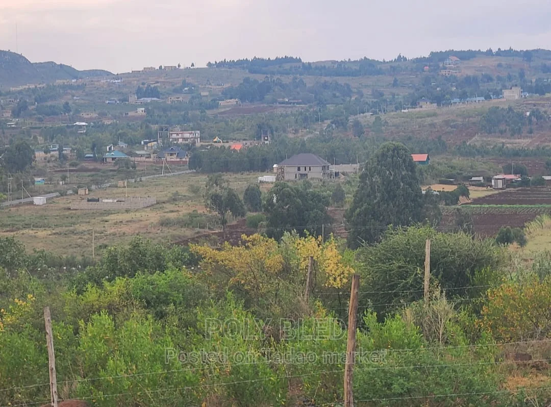 Prime Plots in Kamangu 2