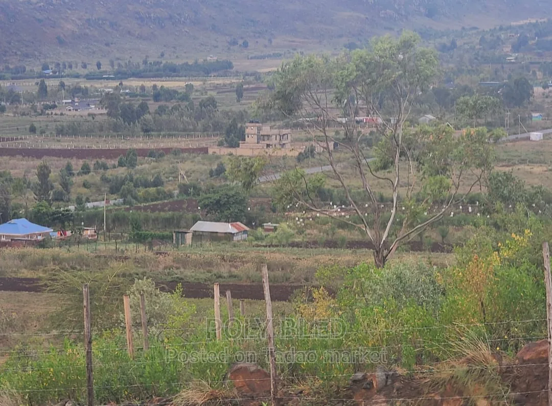 Prime Plots in Kamangu 3