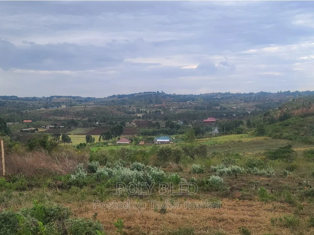 Prime Plots in Kamangu 5