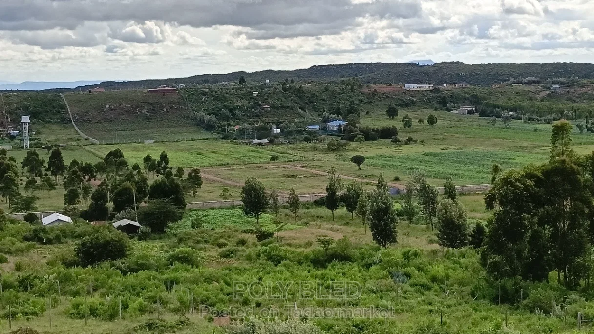 Prime Plots at Kamangu Ndiguini 2
