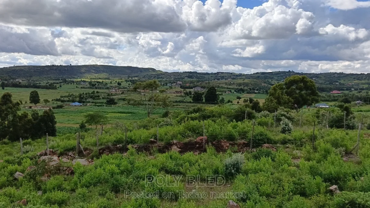 Prime Plots at Kamangu Ndiguini 4