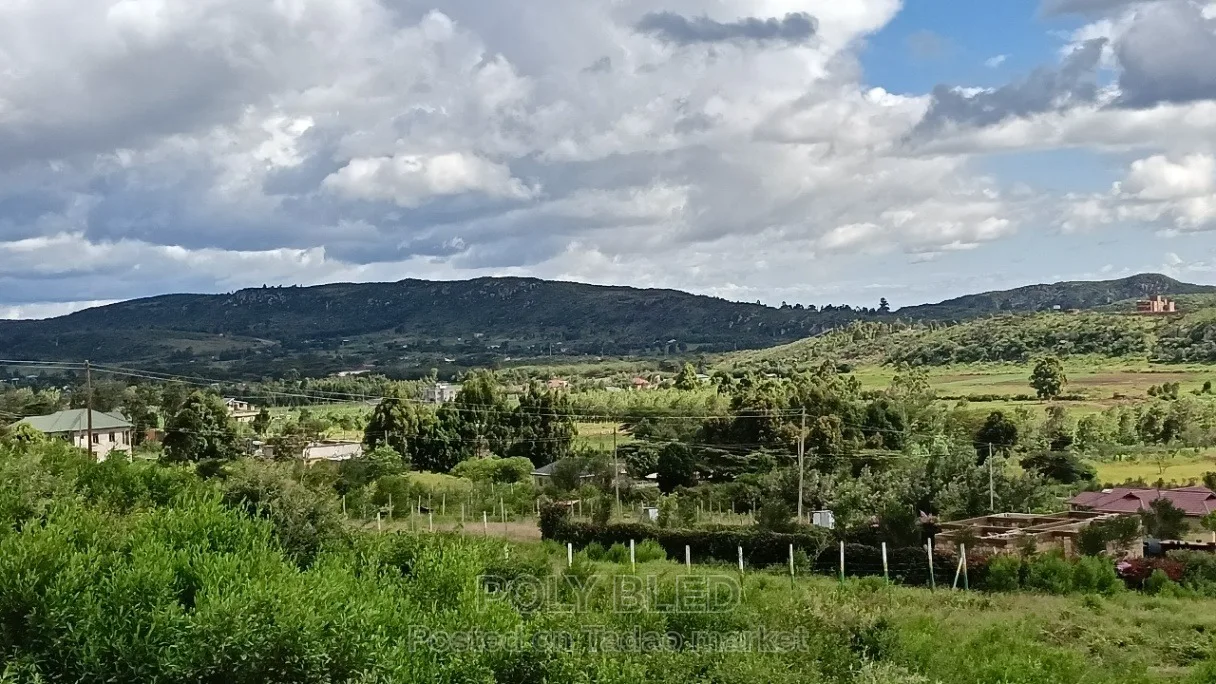 Prime Plots at Kamangu Ndiguini 6