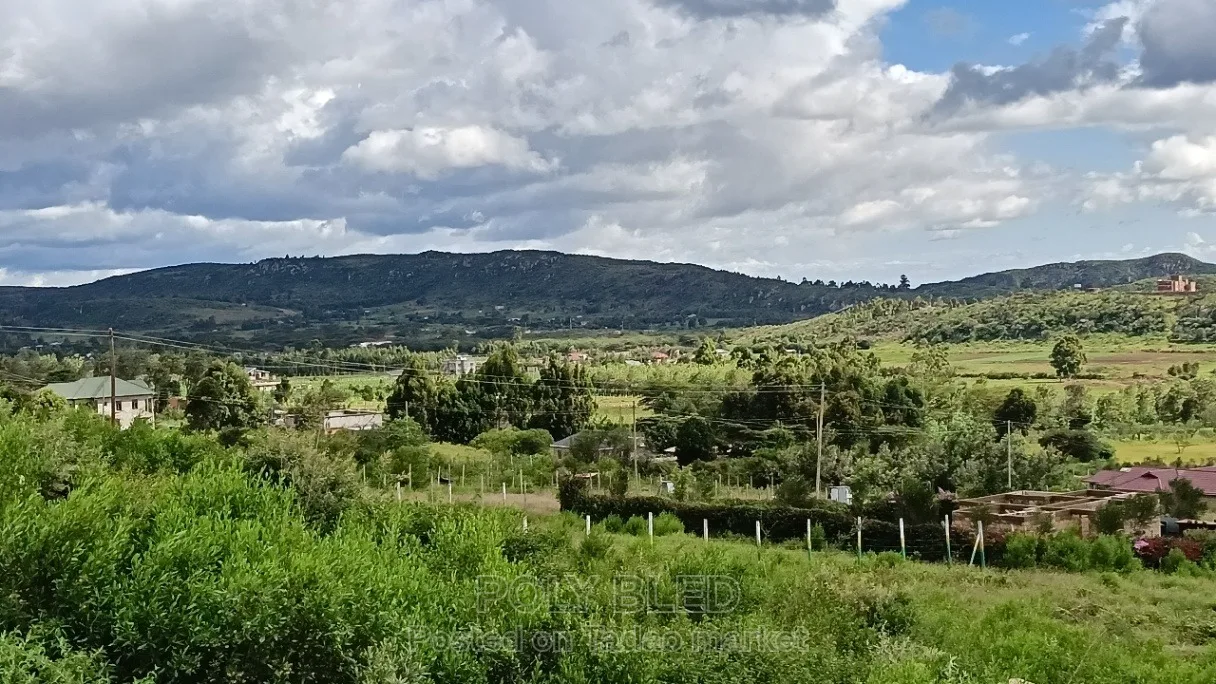 Prime Plots at Kamangu Ndiguini 7