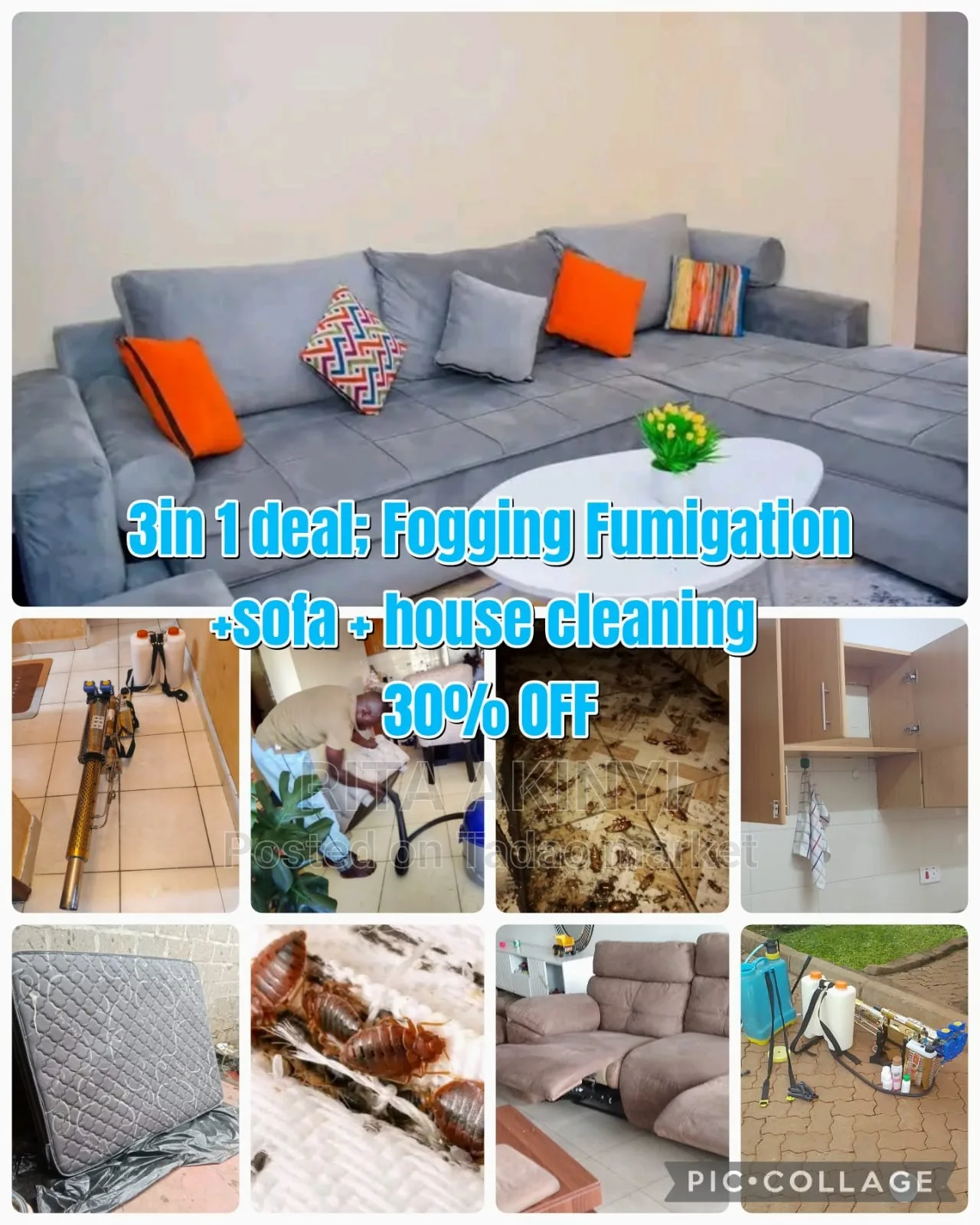 Cleaning and fumigation services 3