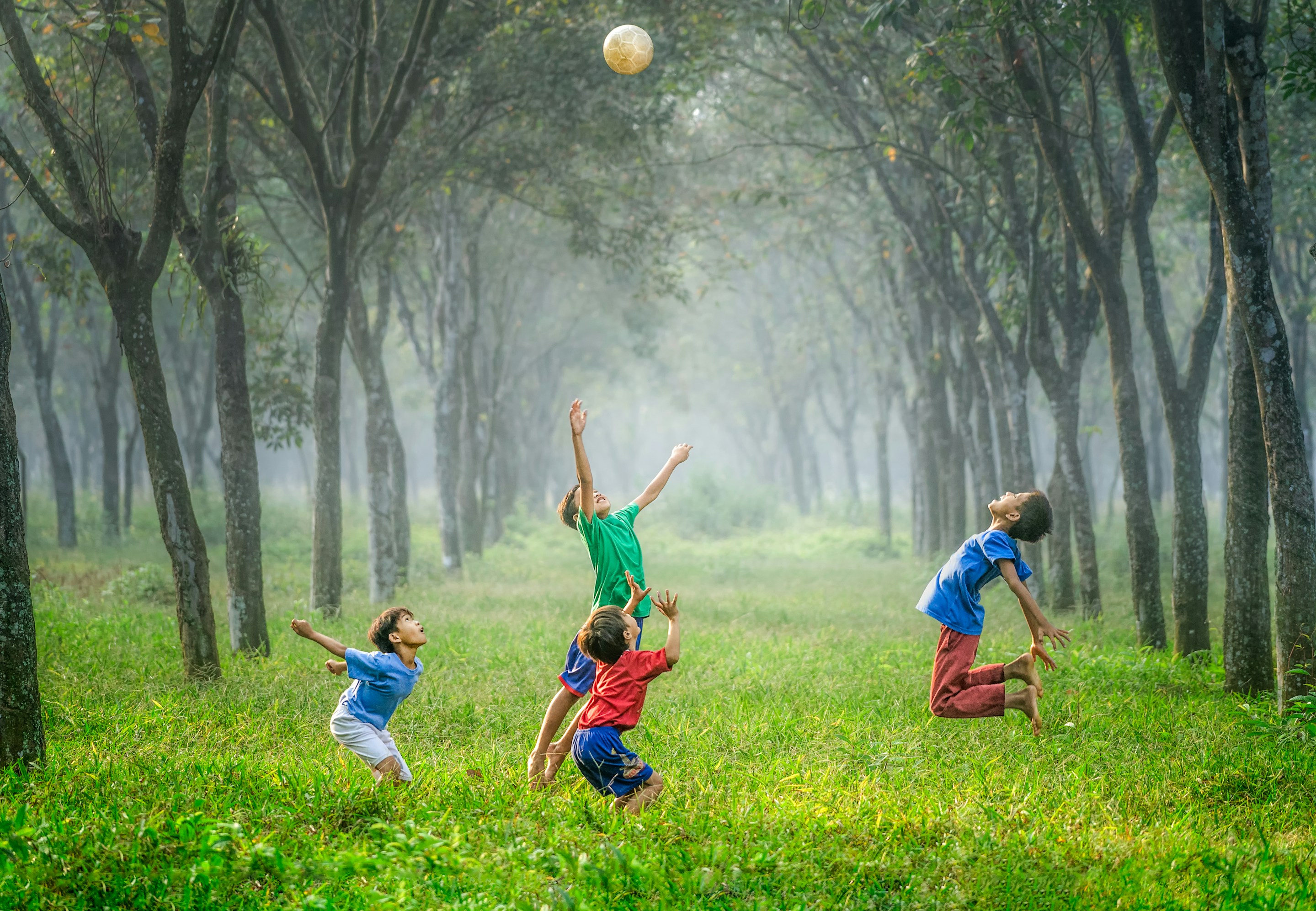 Sustainable Future