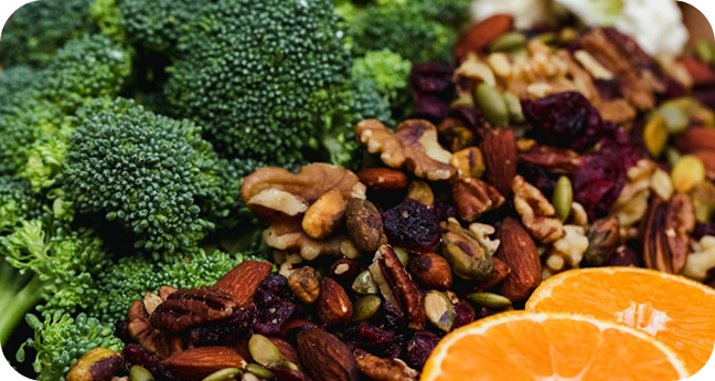 Illustration representing Quality Standard