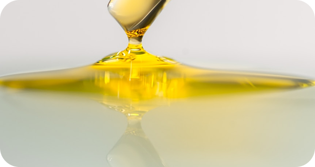 Illustration representing Safety Standard