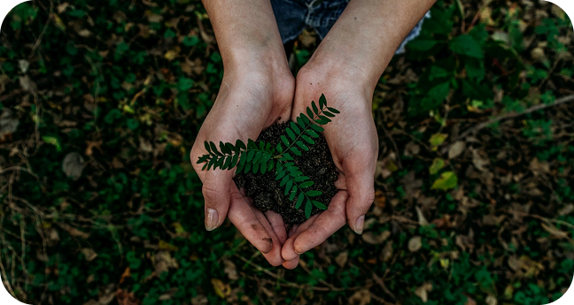 Illustration representing Eco-Friendly Standard