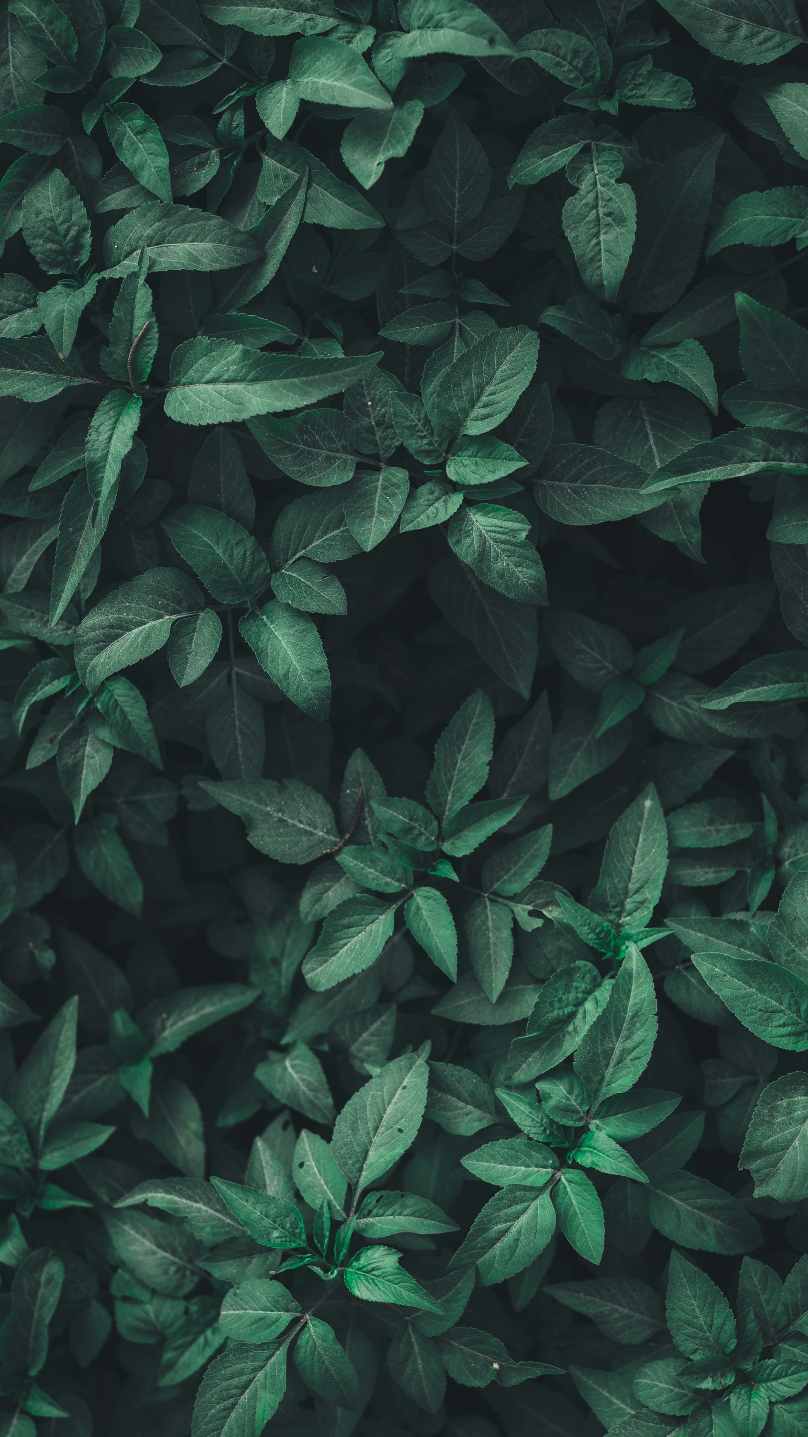 Sustainable Leadership