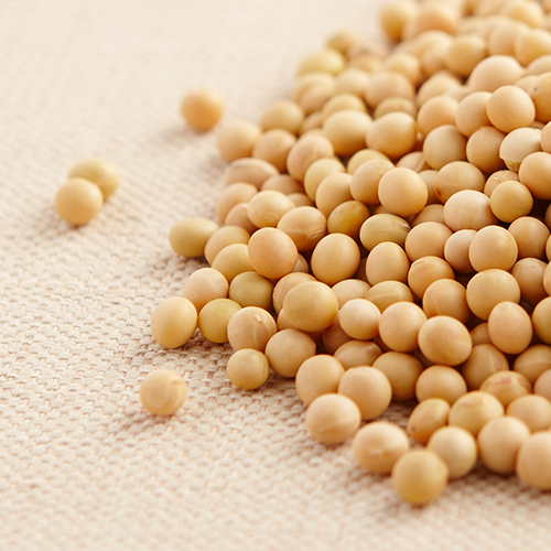 Phytovital Activator