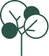 Trees not being cut down
