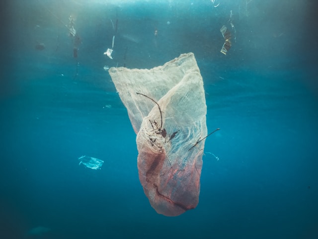 Sustainability