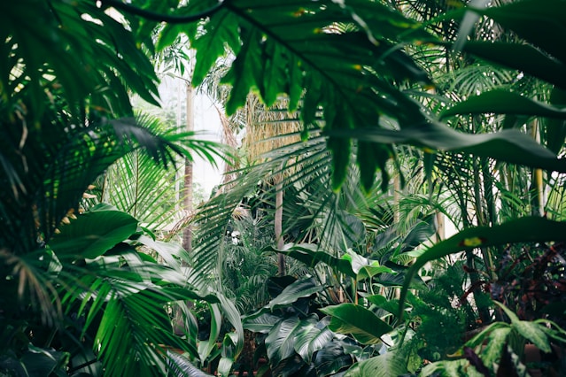 Sustainability