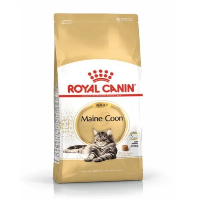 רויאל קנין | Royal Canin מזון יבש מלא לחתולי מיין קון בוגרים | 10 ק״ג