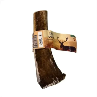 קרן אייל טבעית מלאה XL