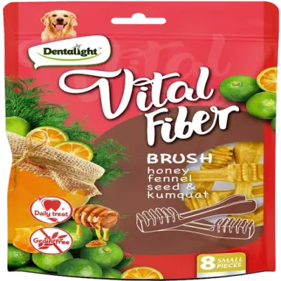 ויטל פייבר חטיף דנטלי דבש זרעי שומר ותפוז 80ג'