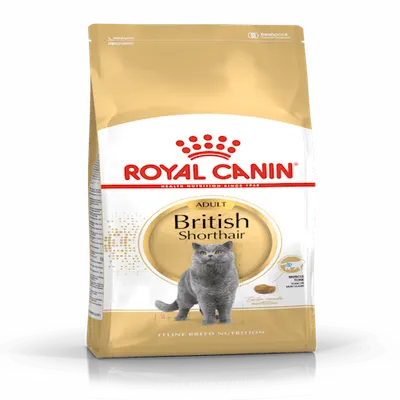 רויאל קנין | Royal Canin מזון יבש מלא לחתולי בריטי שורטהייר בוגרים | 4 ק״ג