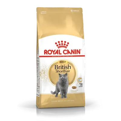 רויאל קנין | Royal Canin מזון יבש מלא לחתולי בריטי שורטהייר בוגרים | 10 ק״ג