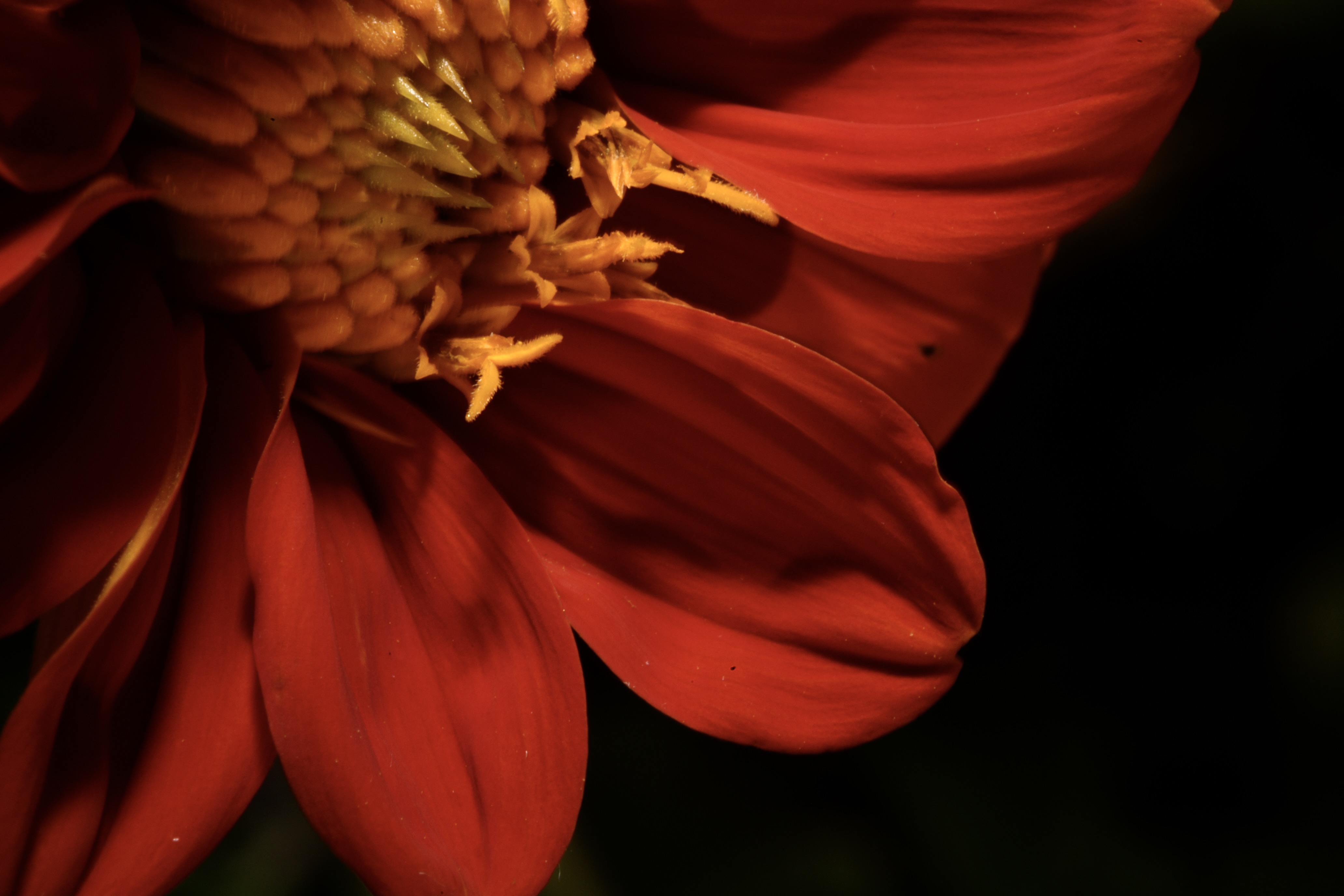 Hehehe tryna tell you I'm nice with this camera shi. This sumn light fr