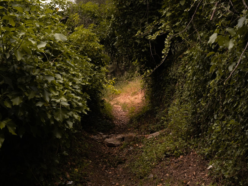 Path