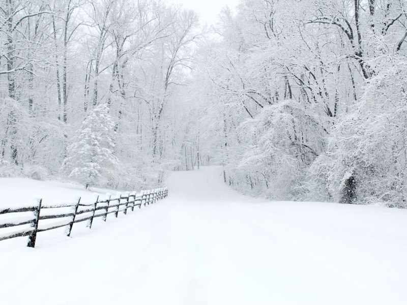 Snowy drive