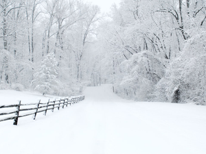 Snowy drive