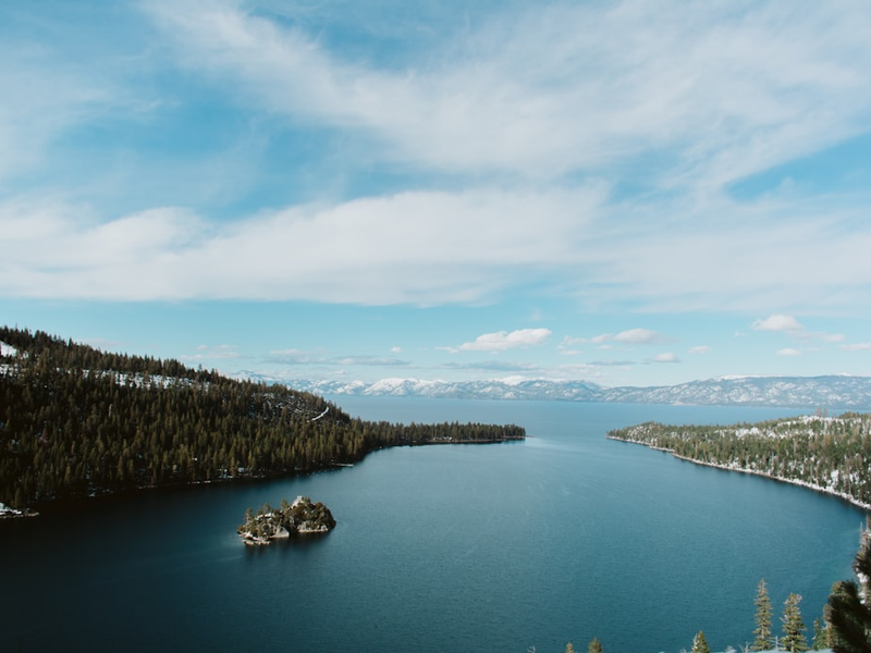 a large body of water surrounded by trees