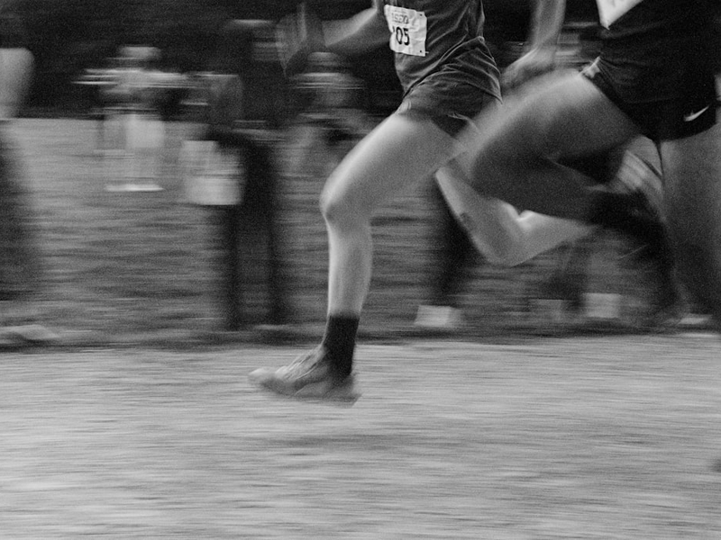 Cross country race runners