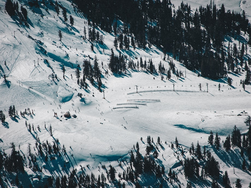 As I was flying over over the ski resorts near Lake Tahoe, California, I saw a great photo opportunity of a busy ski lift surrounded by massive trees, providing a wonderful contrast with the snow. The human - tree comparison goes to show the size of the massive trees in Tahoe.
