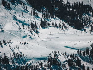 As I was flying over over the ski resorts near Lake Tahoe, California, I saw a great photo opportunity of a busy ski lift surrounded by massive trees, providing a wonderful contrast with the snow. The human - tree comparison goes to show the size of the massive trees in Tahoe.