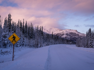 a road sign on a snowy road with a mountain in the background