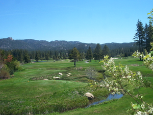 LAKE TAHOE GOLF COURSE