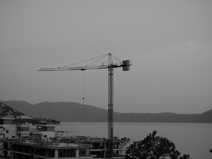A crane is standing in front of a large body of water