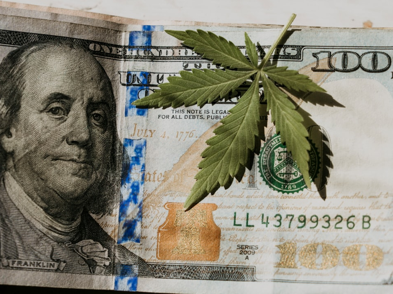 a dollar bill with a marijuana leaf sticking out of it