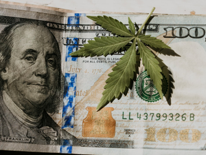 a dollar bill with a marijuana leaf sticking out of it