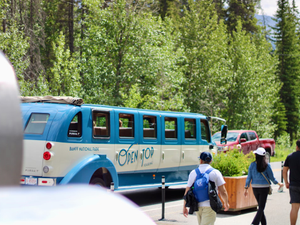people walking near a bus